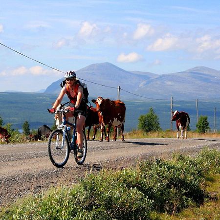 Furulund Pensjonat Ron Exteriör bild