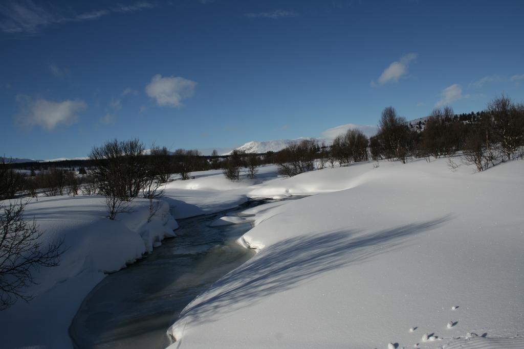 Furulund Pensjonat Ron Exteriör bild