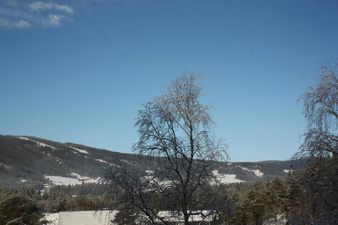 Furulund Pensjonat Ron Exteriör bild