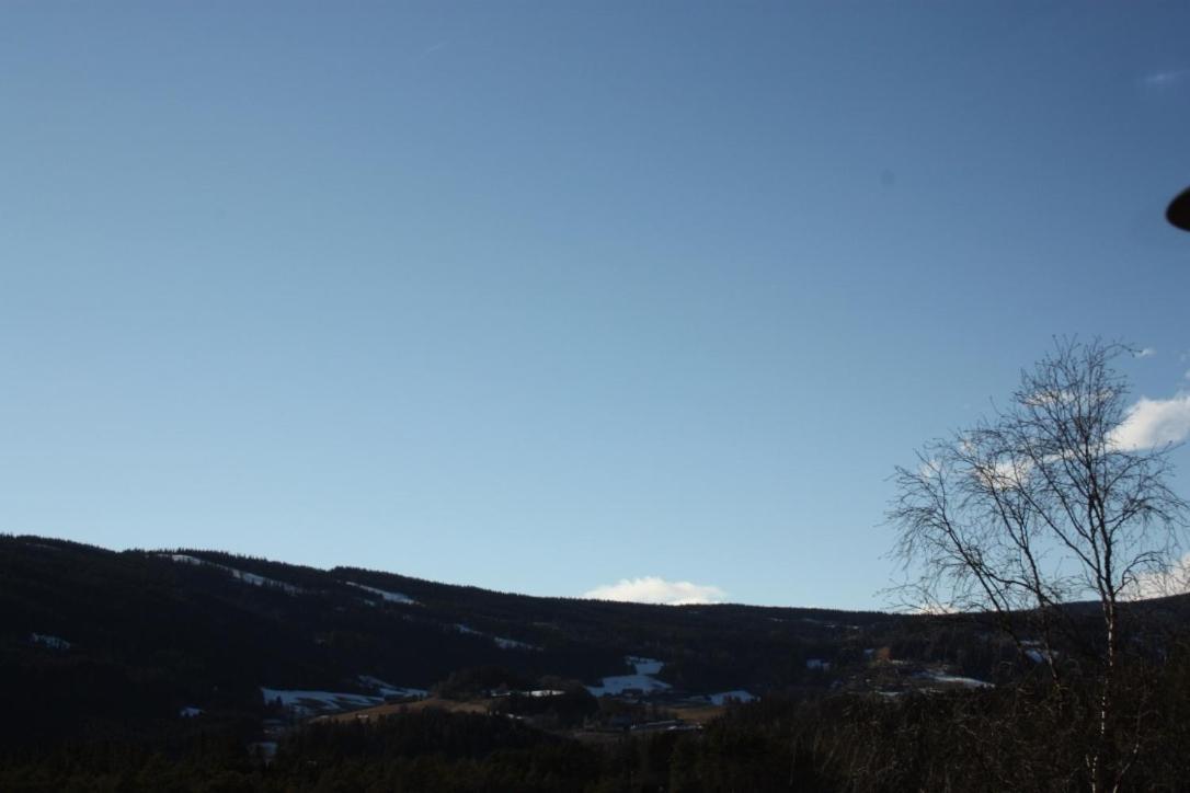 Furulund Pensjonat Ron Exteriör bild