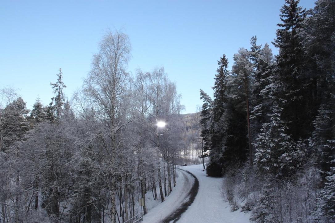 Furulund Pensjonat Ron Exteriör bild