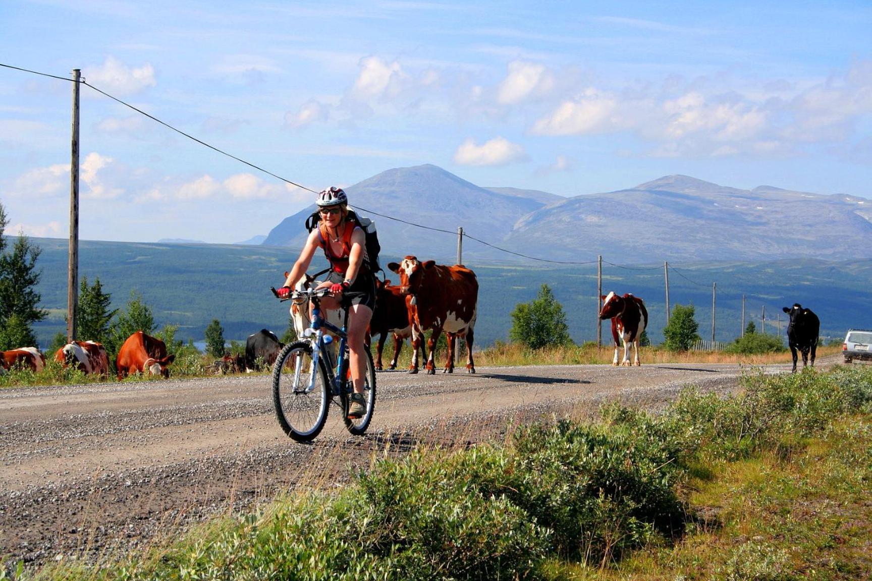 Furulund Pensjonat Ron Exteriör bild